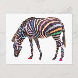 RegenboogZebra Briefkaart