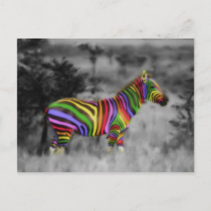RegenboogZebra Briefkaart