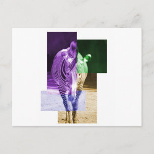 RegenboogZebra Briefkaart