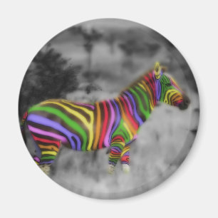 RegenboogZebra Magneet