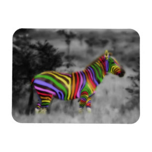 RegenboogZebra Magneet
