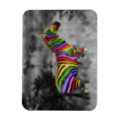 RegenboogZebra Magneet (Verticaal)