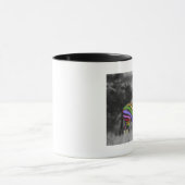 RegenboogZebra Mok (Midden)