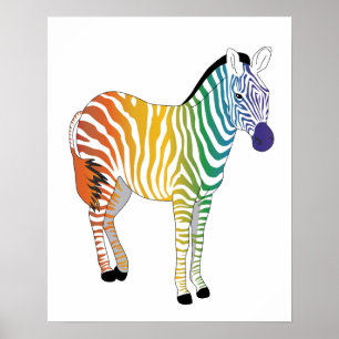 regenboogzebra poster