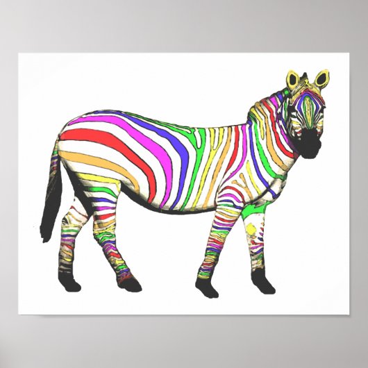 RegenboogZebra Poster (Voorkant)
