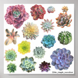 Regenboogzuinig afdrukken poster