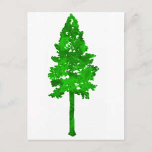 Regenbos groen briefkaart