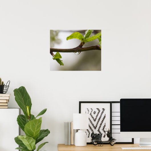 Regendruppel (mat) poster (Thuiskantoor)