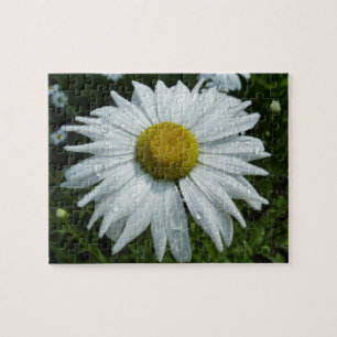 Regendruppels op Daisy II wilde bloem bloem Legpuzzel