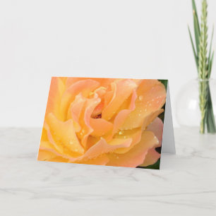 Regendruppels op de lege kaart van Rozen