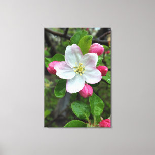 Regendruppels op kleine bloemen canvas afdruk