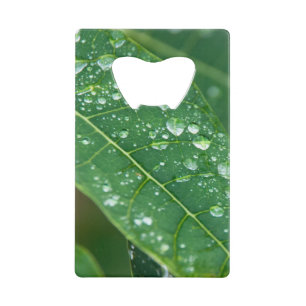 Regendruppels op Papaya Leaf Kredietkaart Flessenopener