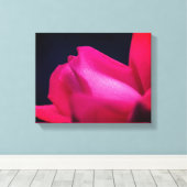 regendruppels op rode rosebud canvas afdruk (Insitu (Houten vloer))