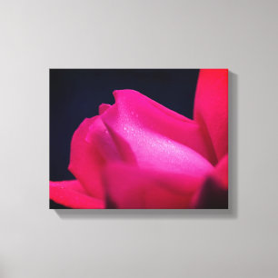 regendruppels op rode rosebud canvas afdruk