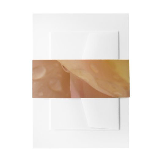 Regendruppels op Rozen bloemblaadjes Roze Perzik B Uitnodigingen Wikkel (Voorkant Voorbeeld)