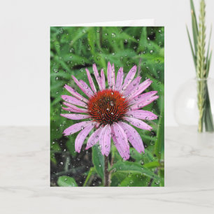 Regendruppels op Rudbeckia Kaart