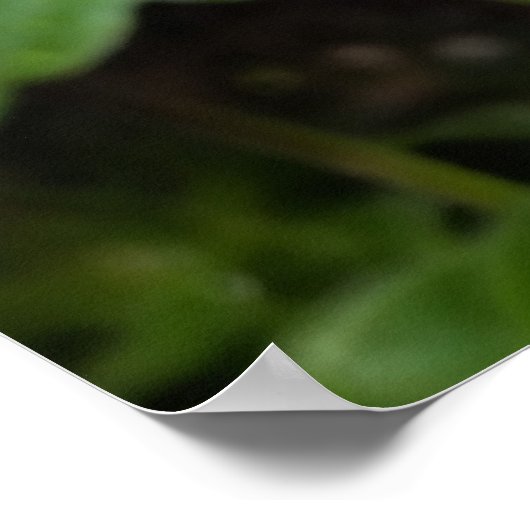 regendruppels op wit poster (Hoek)