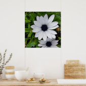 regendruppels op wit poster (Keuken)