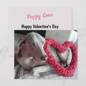 Regenliefde - Weimaraner Dog Valentijn - Flat Kaar Feestdagenkaart (Voorkant / Achterkant)