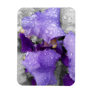 regenval in iris magneet