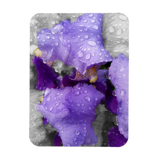 regenval in iris magneet (Verticaal)