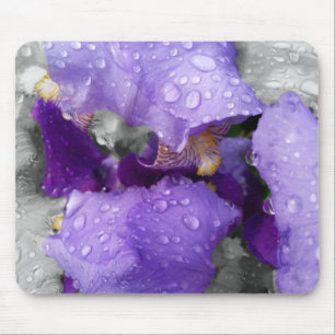 regenval in iris muismat