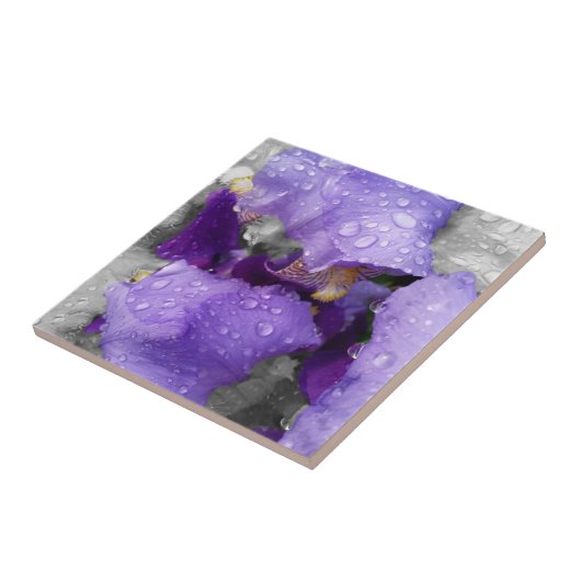 regenval in iris tegeltje (Zijkant)