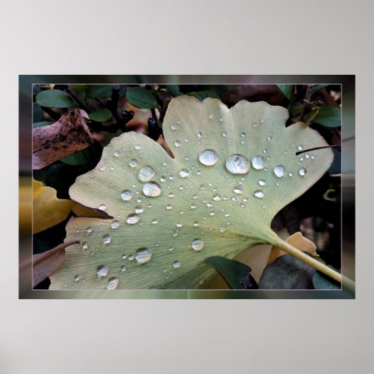 regenval poster (Voorkant)