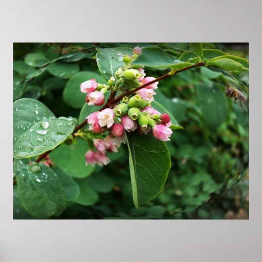 regenval poster (Voorkant)