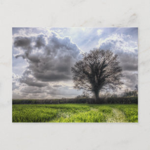 Regenwolken in lente HDR. Briefkaart