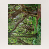 Regenwoud Bomen Legpuzzel (Verticaal)