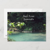 Regenwoud, Guatemala Briefkaart (Voorkant / Achterkant)