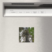 regenwoud magneet (Insitu (Vaatwasser))