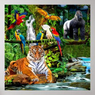 REGENWOUDBIODIVERSITEIT POSTER
