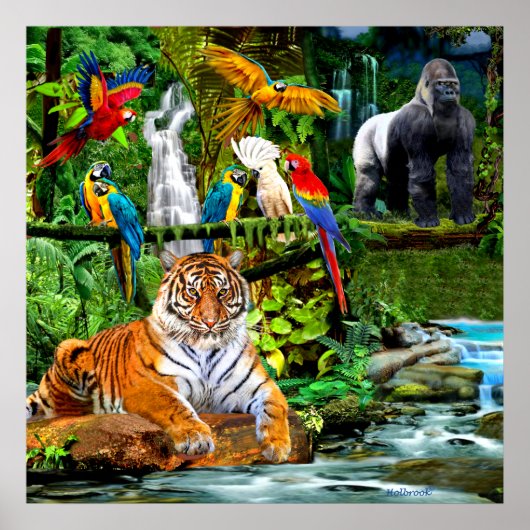 REGENWOUDBIODIVERSITEIT POSTER (Voorkant)