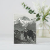  regio Jungfrau Briefkaart (Staand voorkant)