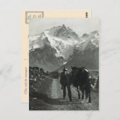  regio Jungfrau Briefkaart (Voorkant / Achterkant)