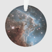 Région de mise en marche Ngc 2174, Nebula tête de  (devant)