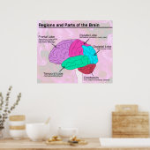 Regio's en delen van het brein poster (Keuken)