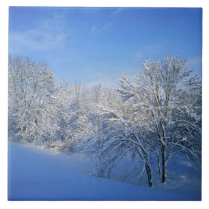 Registreer sneeuw in Louisville, Kentucky. Tegeltje