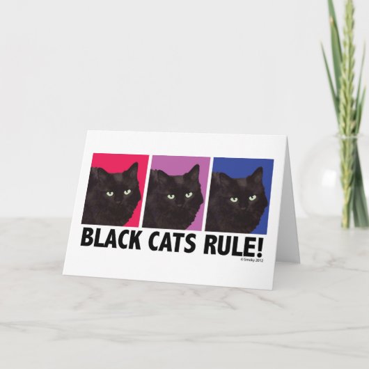 RÈGLE de chats noirs ! Carte vierge (Devant)