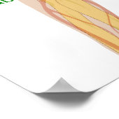 Réglementation du calcium dans le tableau du corps (Coin)