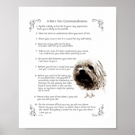 Règles pour animaux - Poster JoJo (Devant)