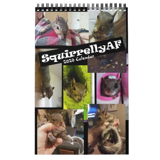 Rehab| Calendrier des murs SquirrellyAF 2020 (Protection)