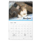 Rehab| Calendrier des murs SquirrellyAF 2020 (Mar 2026)