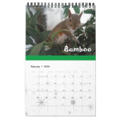 Rehab| Calendrier des murs SquirrellyAF 2020 (Feb 2026)