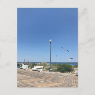 Rehoboth Beach Boardwalk Seagulls Sky Ocean Photo Briefkaart