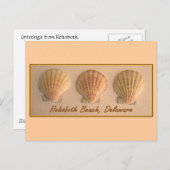 Rehoboth Beach, Delaware Briefkaart (Voorkant / Achterkant)