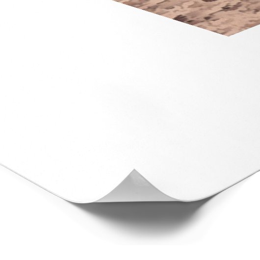 Rehoboth Beach Poster (Hoek)