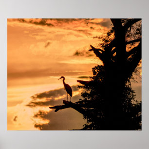 Reiger bij zonsondergang - James River -- kunstpos Poster